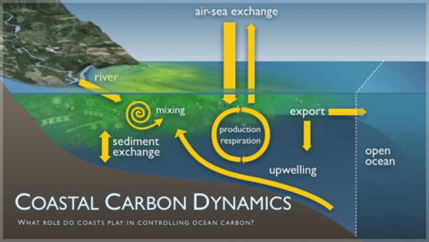 碳循环的真实世界